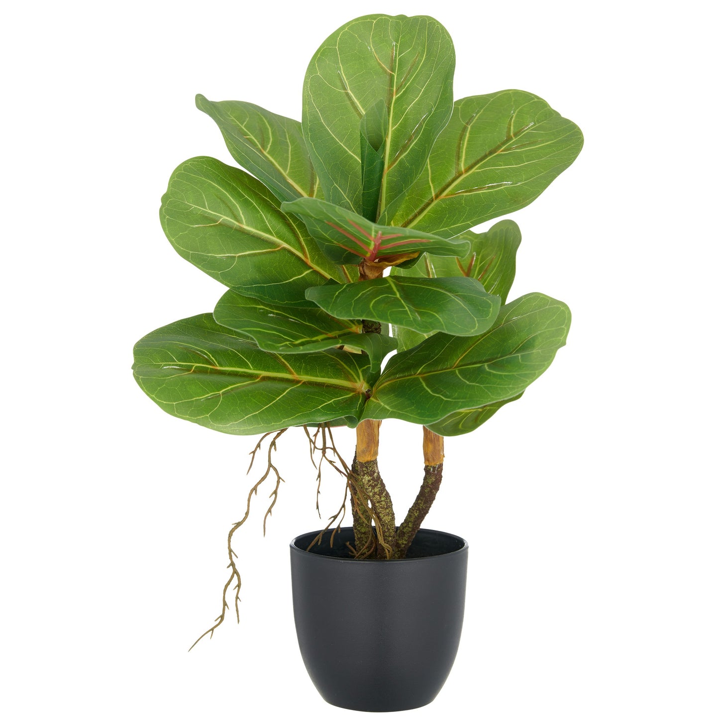 Ficus lyrata Kunstpflanze 34 cm Grün im Kunststofftopf 9,5x8,5 cm – Dekorativer Zimmerbaum