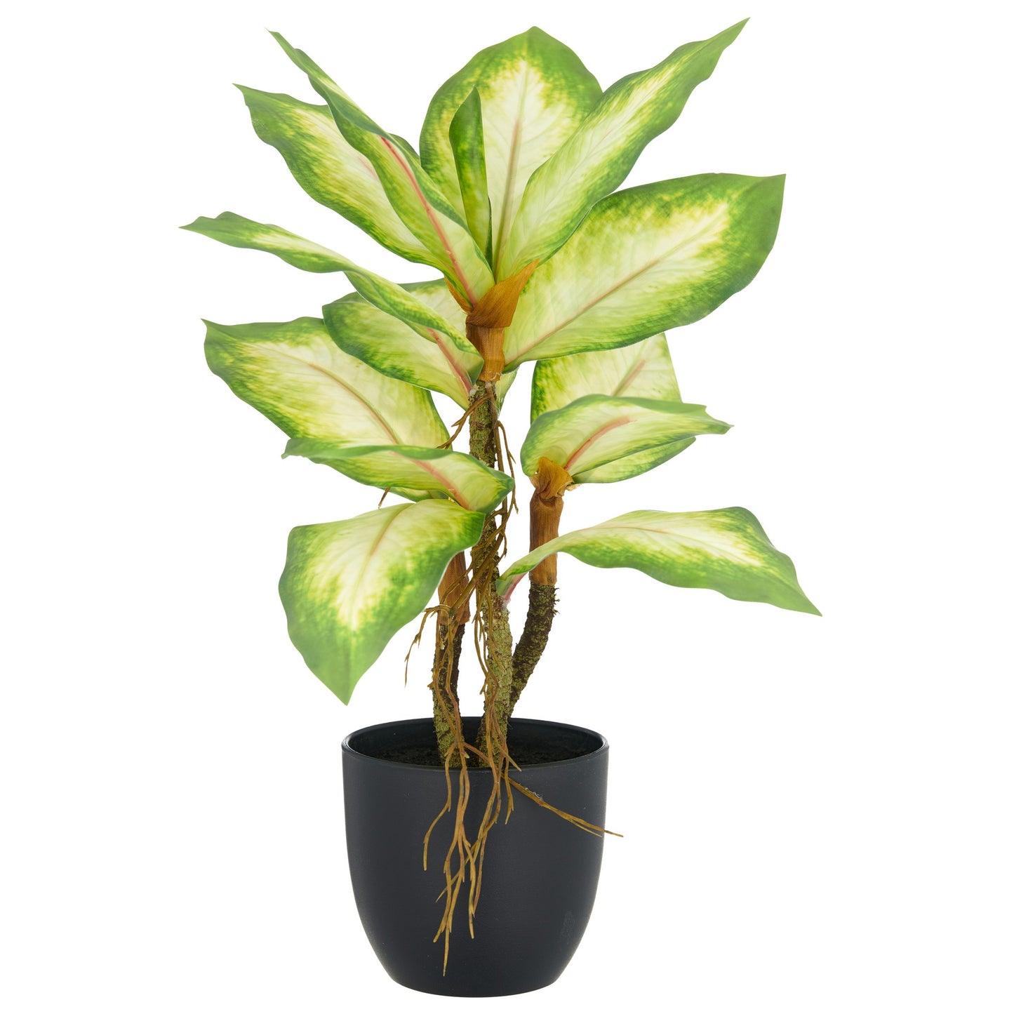 Künstliche Dieffenbachia Pflanze 34cm Grün im Kunststofftopf 9,5x8,5cm Dekoration