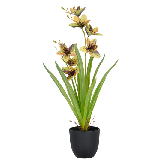 Künstliche Cymbidium Orchidee 55cm grün-gelb im Kunststofftopf 11,5x10,5cm Pflanze ruhig