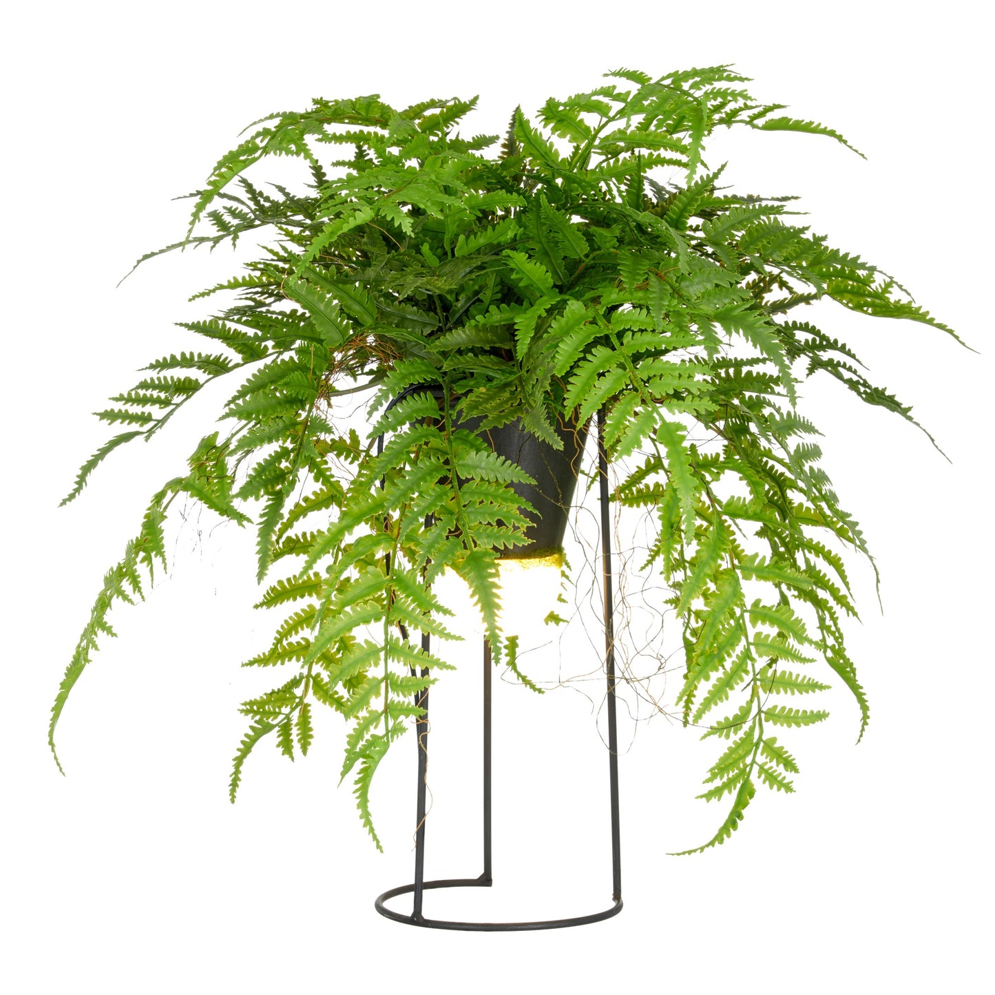 Dekostandleuchte Farnmix 60 cm Grün auf Metallgestell mit LED Beleuchtung und 1,5 m Kabel