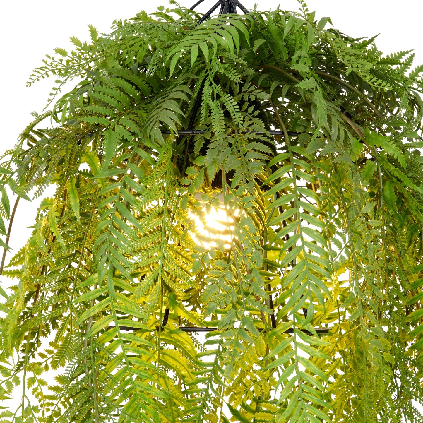 Deko Hängeleuchte Farnmix Grün 80x50cm mit E27 Fassung und 1,5m Zuleitung Kunstpflanze