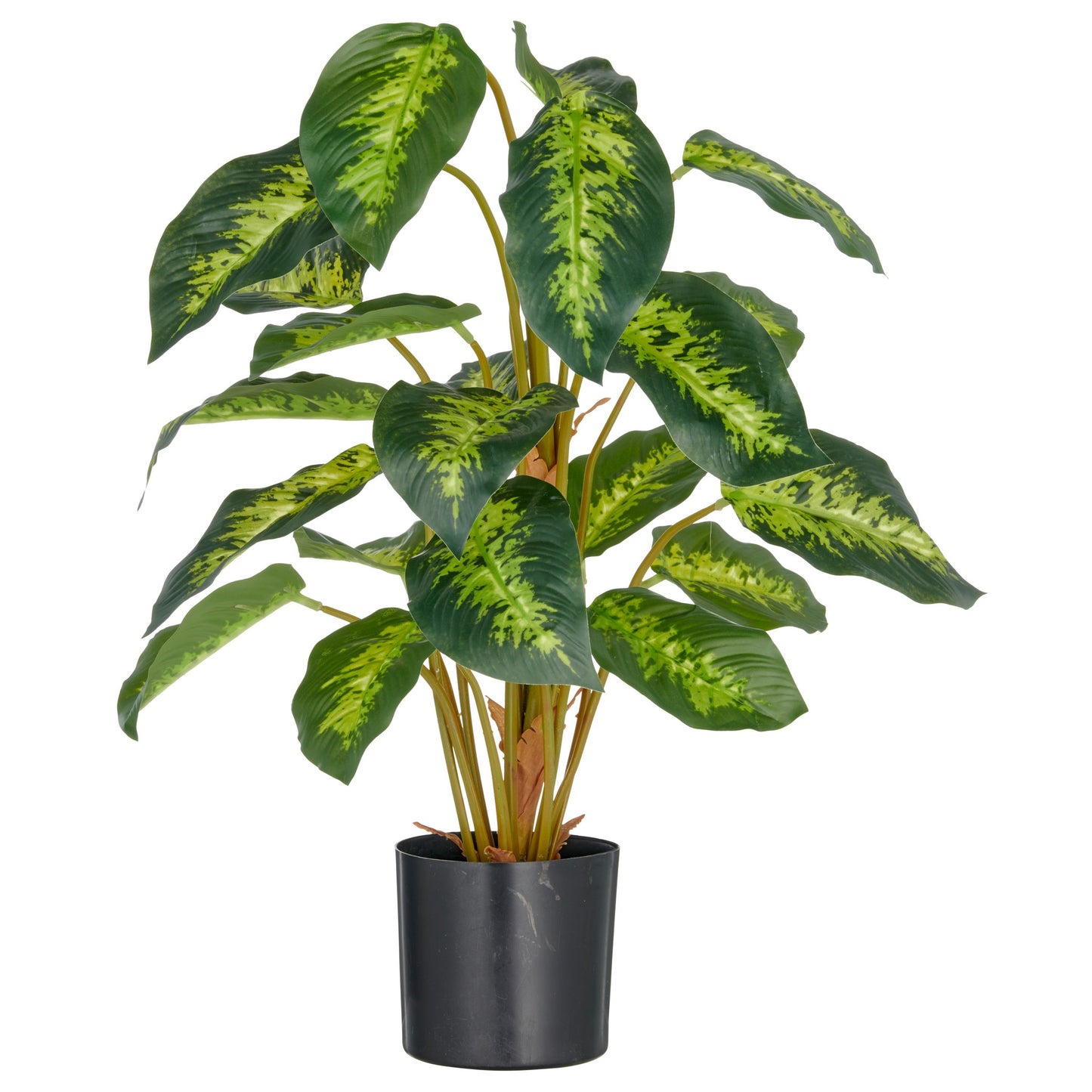 Künstliche Diffenbachia Reeva Pflanze 65 cm mit 21 grünen Blättern im Kunststofftopf 12,5x11,5cm