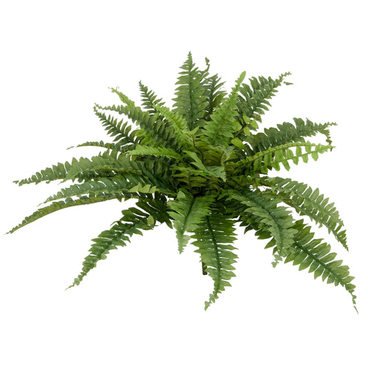 Bostonfarn Kunstpflanze 60 cm hoch x 70 cm Ø, lebensecht grün, pflegeleicht, Polyanbieter