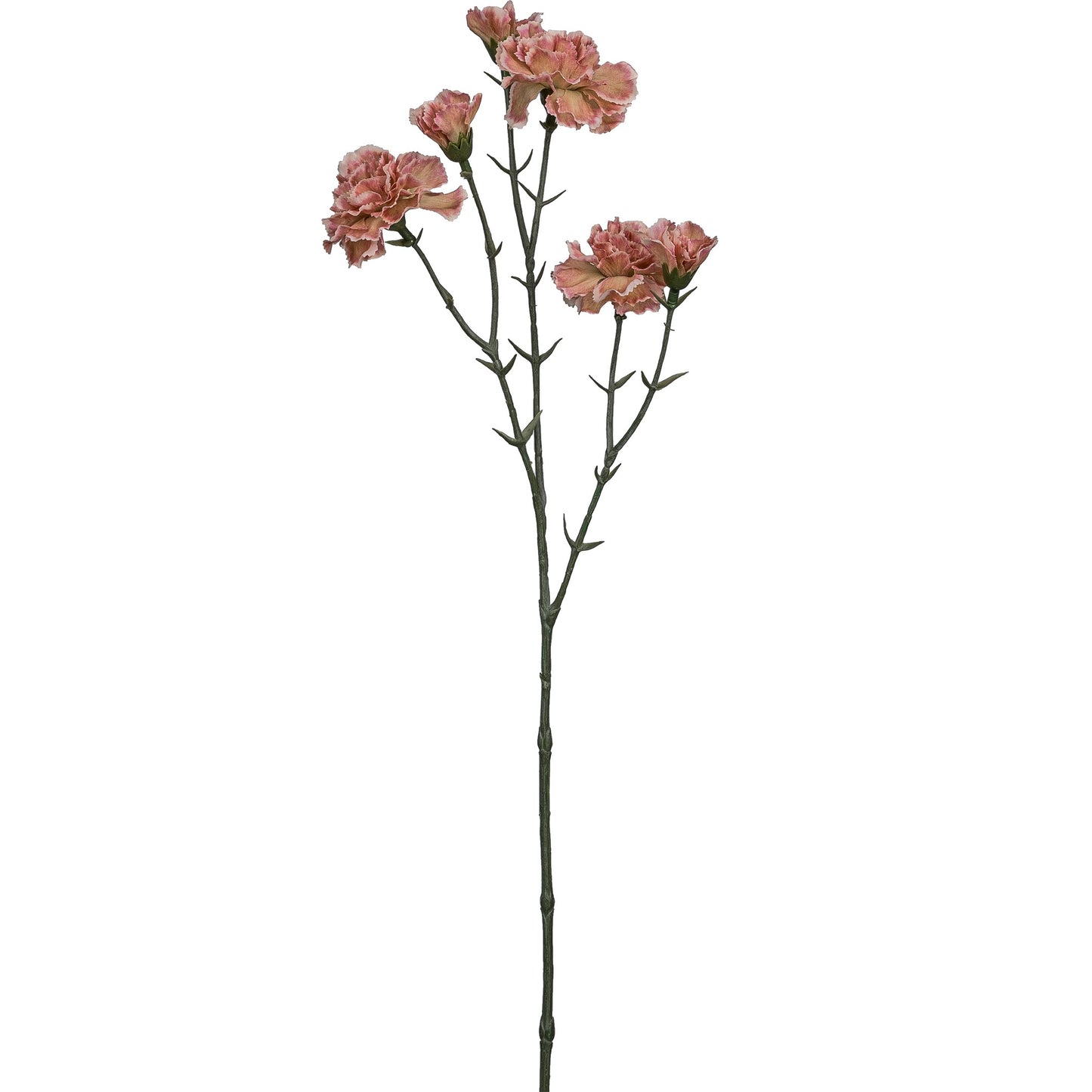 5er-Set Mininelke 57 cm apricot – realistische Kunstpflanzen, pflegeleichte Deko für Zuhause und Büro