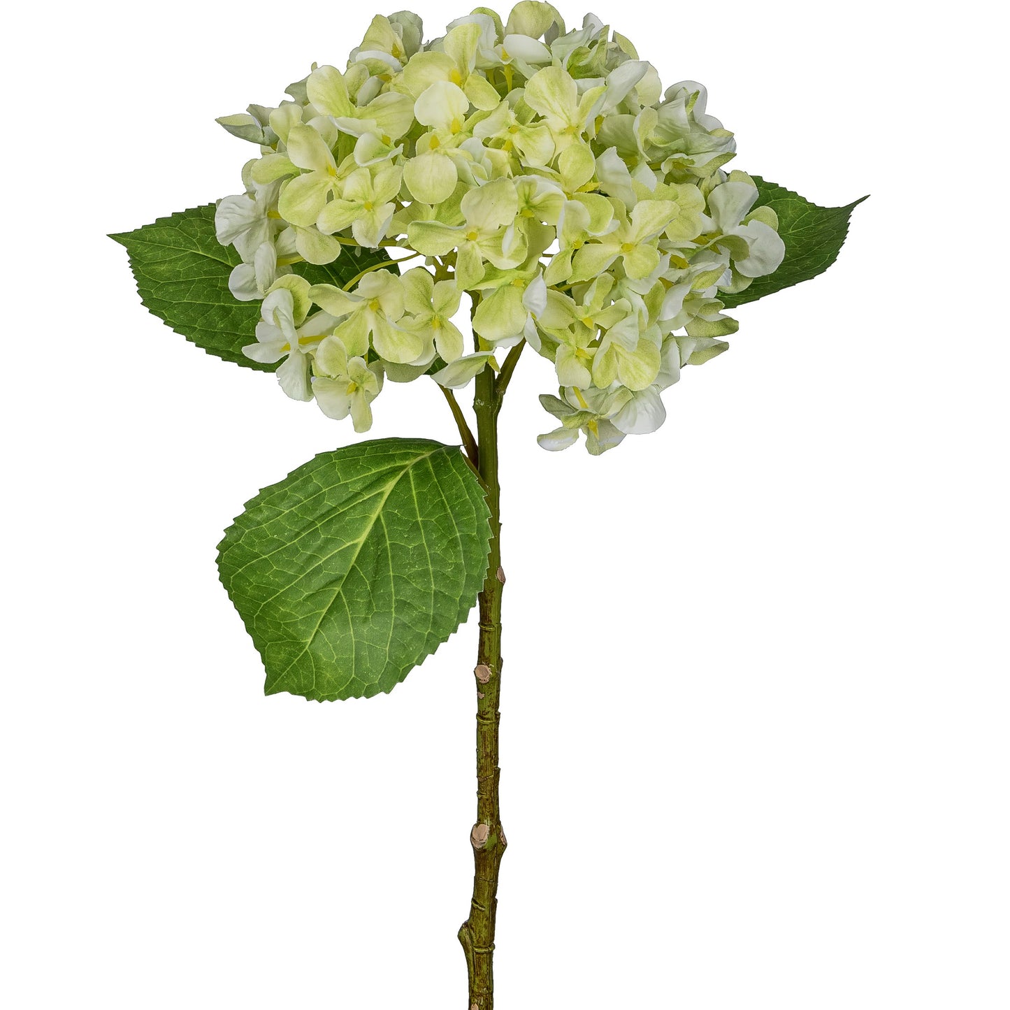 3er-Set Künstliche Hortensie 48 cm in Hellgrün – Realistische Dekopflanze für Zuhause und Büro