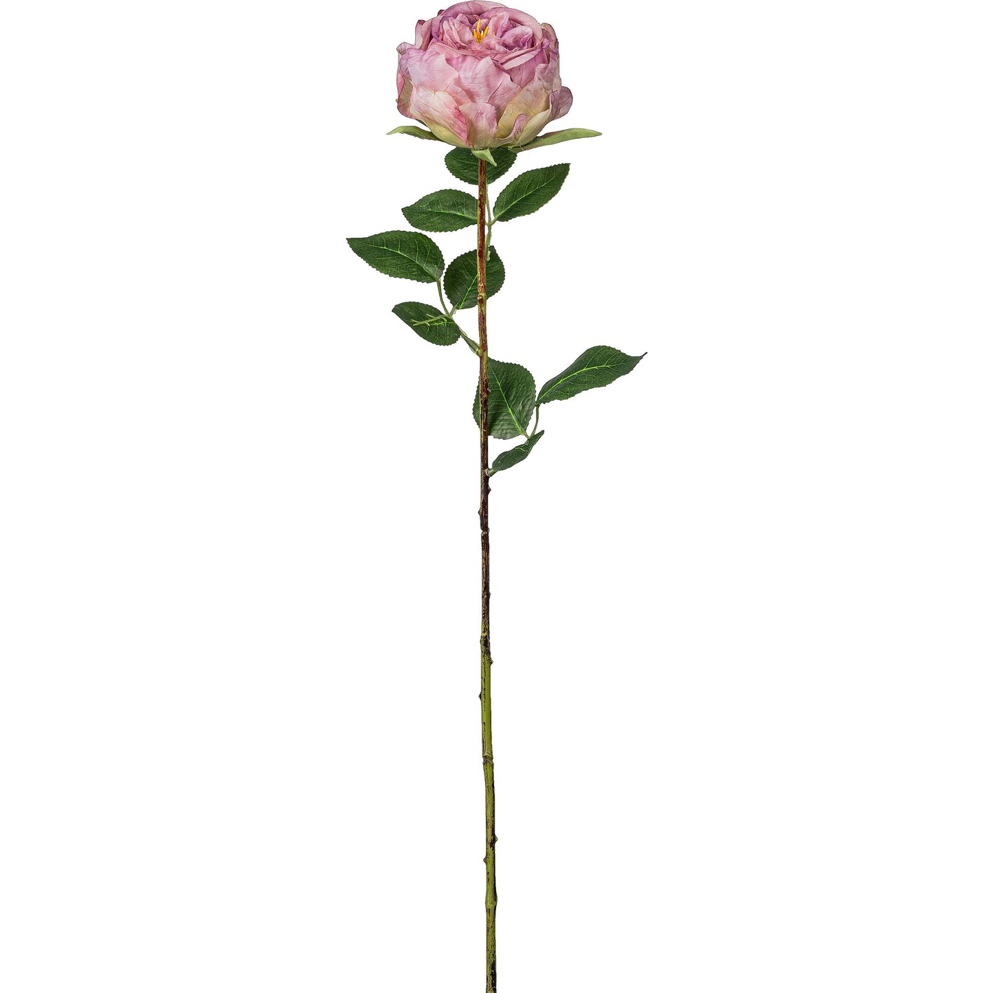 4er-Set Englische Rose helllila 63 cm hoch, realistische Kunstpflanze, pflegeleichtes Deko-Arrangement für Zuhause und Büro