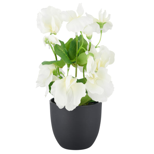 4er-Set Künstliche Wicke Weiß 20 cm im Kunststofftopf 8x7 cm Pflegeleicht und Dekorativ