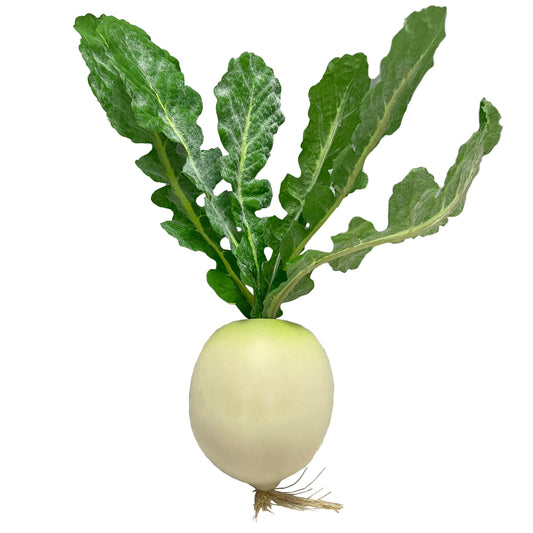 3er-Set Künstlicher Weißer Rettich mit Blättern, 26 cm – Realistische Kunststoff-Deko für Küche & Büro