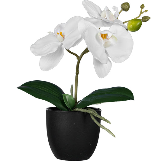 4er-Set Phalaenopsis Kunstpflanze Weiß 23 cm mit dekorativem Topf 8x7 cm pflegeleicht