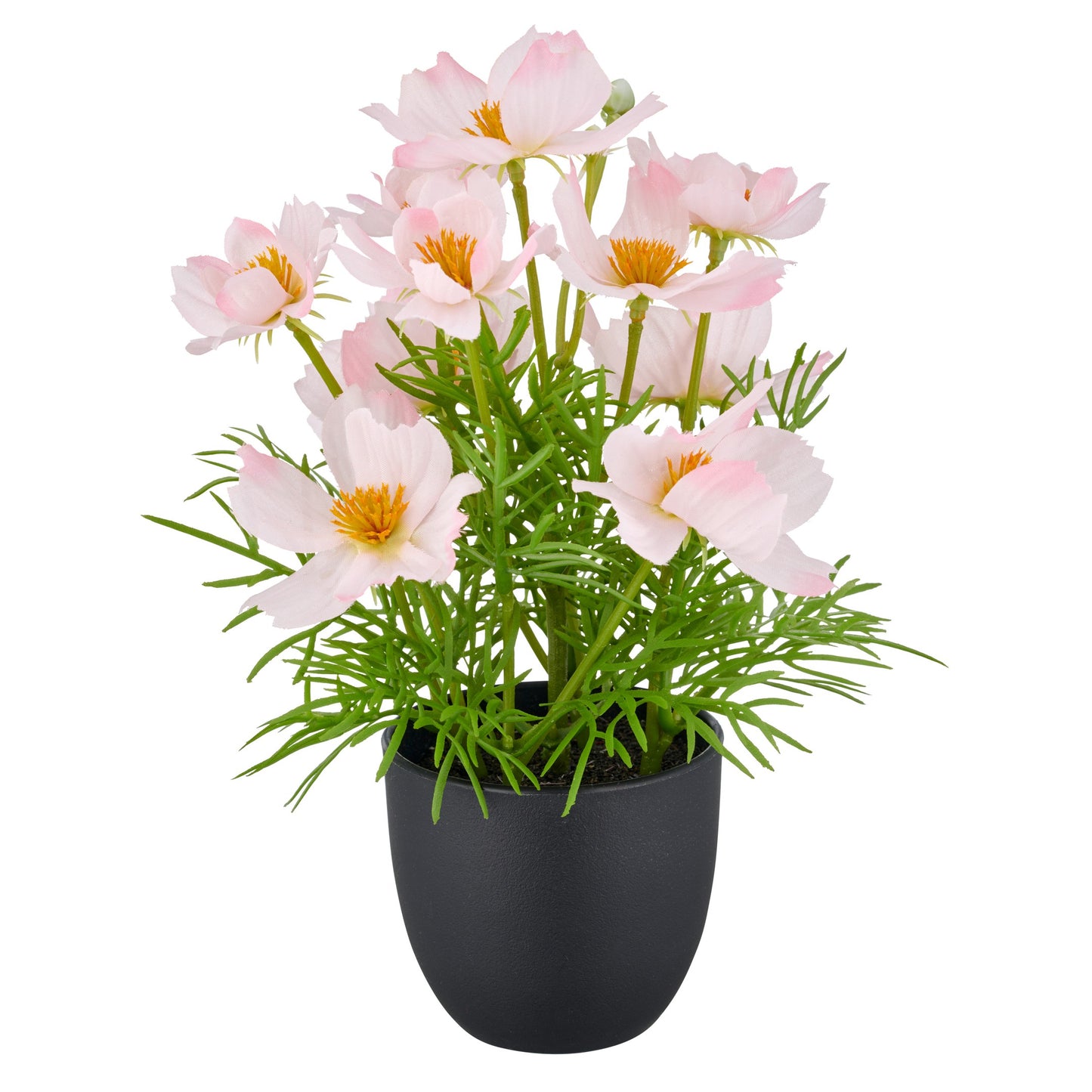 4er-Set Künstliche Cosmea 22 cm Rosa im Kunststofftopf 8x7 cm – Pflegeleichte Deko für Zuhauseroken