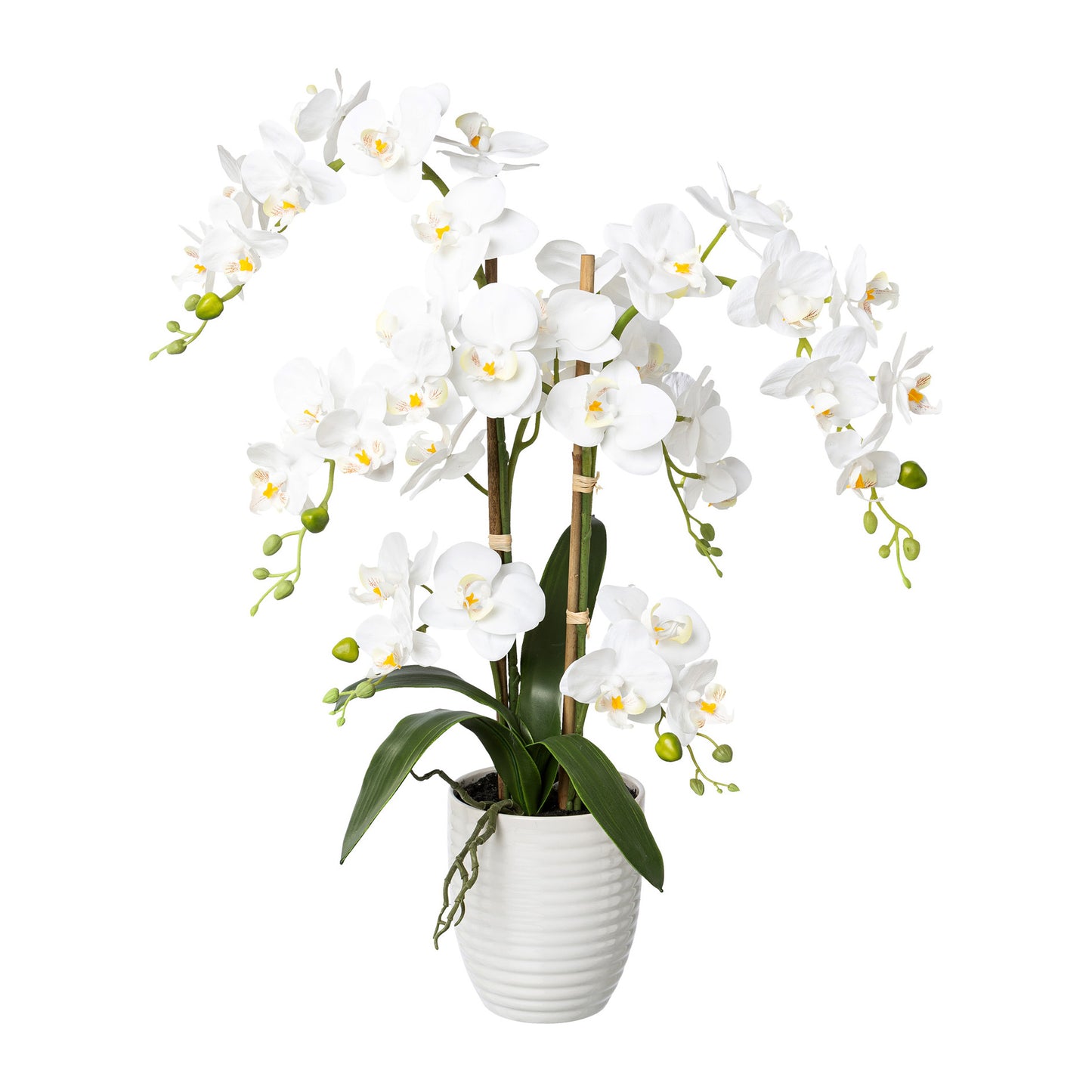 Künstliche Phalaenopsis Orchidee 67 cm im weißen Keramiktopf - Pflegeleicht, 2 Farben erhältlich
