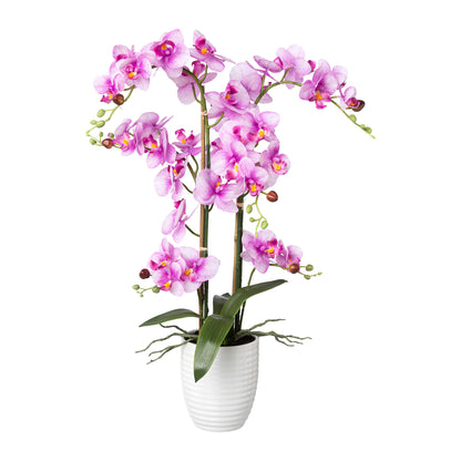 Künstliche Phalaenopsis Orchidee 67 cm im weißen Keramiktopf - Pflegeleicht, 2 Farben erhältlich