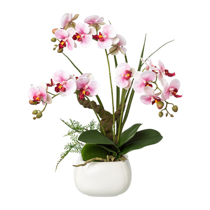 Künstliche Phalaenopsis Orchidee 46 cm im weißen Keramiktopf – 2 Farben wählbar