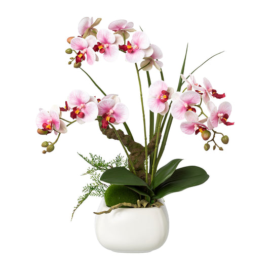 Künstliche Phalaenopsis Orchidee 46 cm im weißen Keramiktopf – 2 Farben wählbar