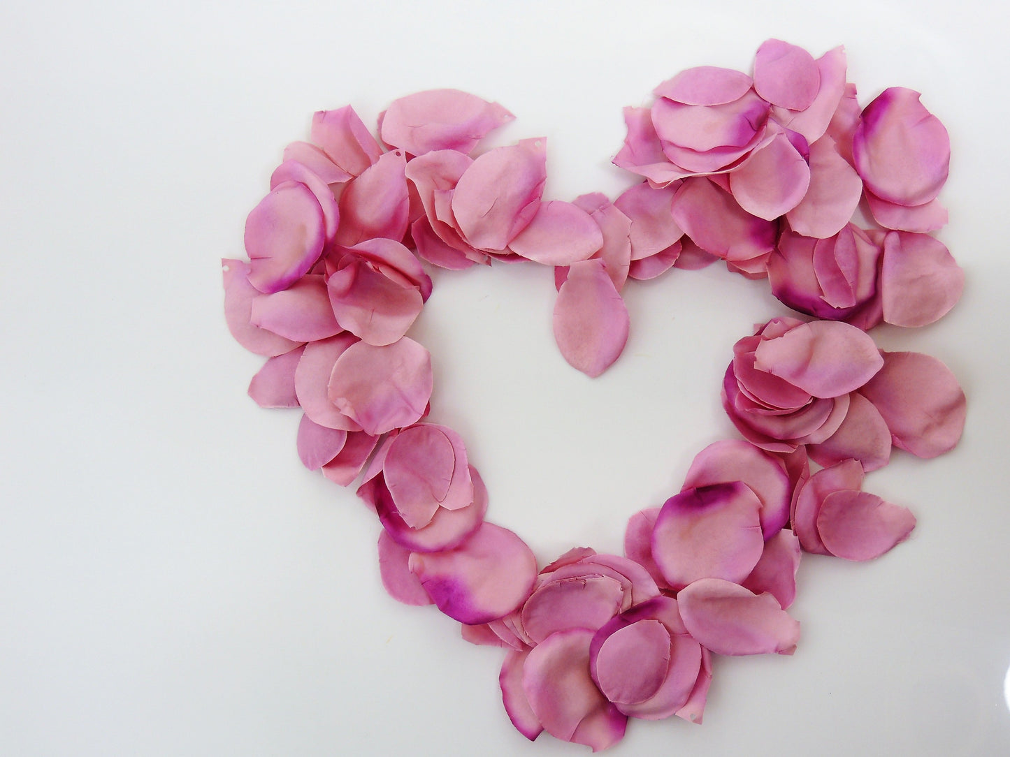 Rosenblütenblätter Lavendel - 90 Seidenblüten für Hochzeiten & Festival-Dekoration