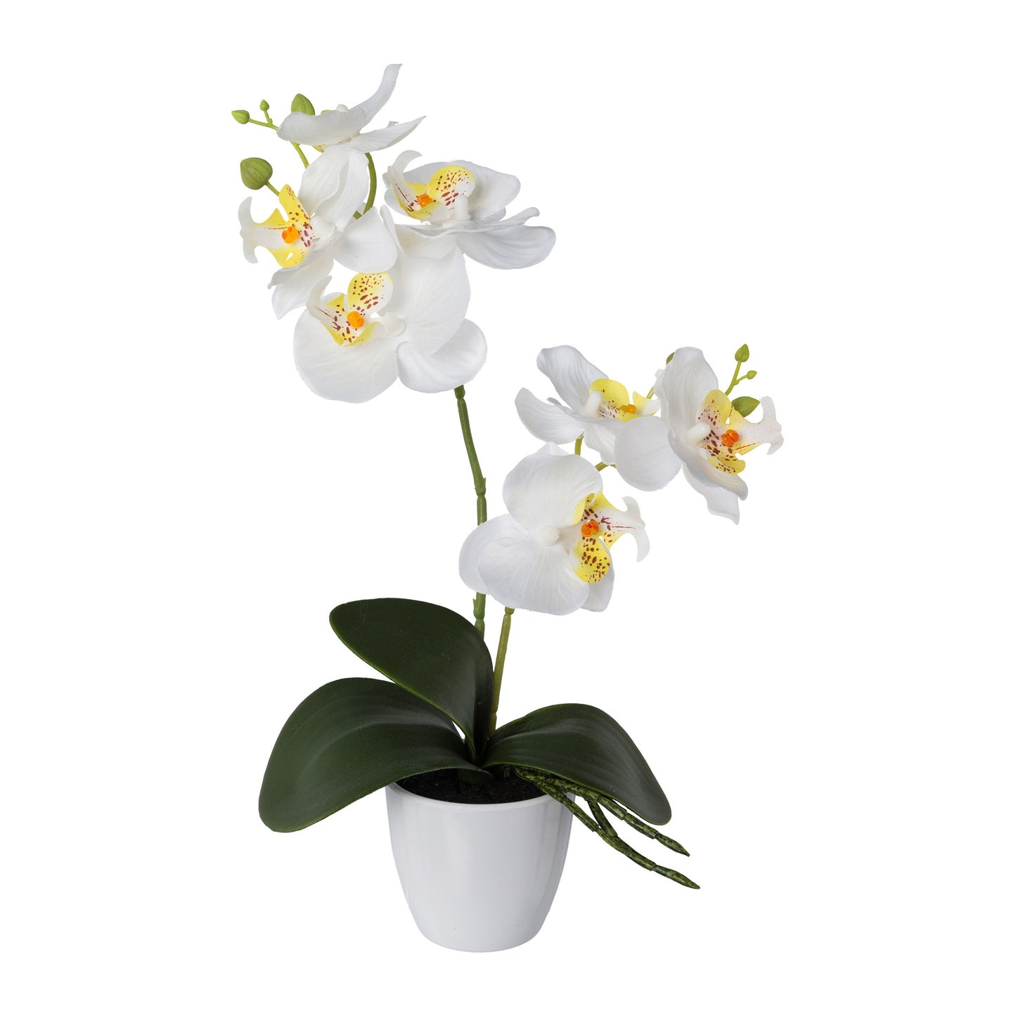 2er Set Künstliche Orchideen Phalaenopsis 36 cm in 4 Farben im Kunststofftopf