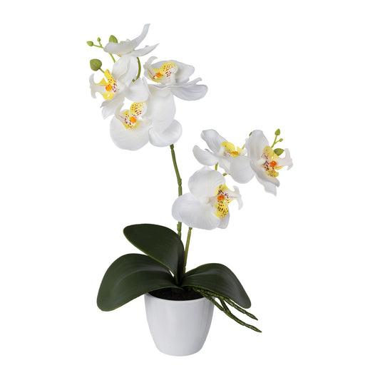 2er Set Künstliche Orchideen Phalaenopsis 36 cm in 4 Farben im Kunststofftopf
