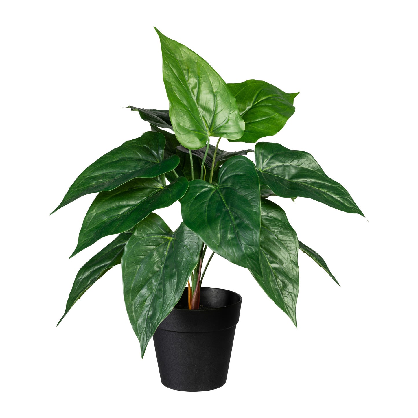 2er Set künstliche Anthurie 32 cm im schwarzen Topf – Realistische Deko für Zuhause