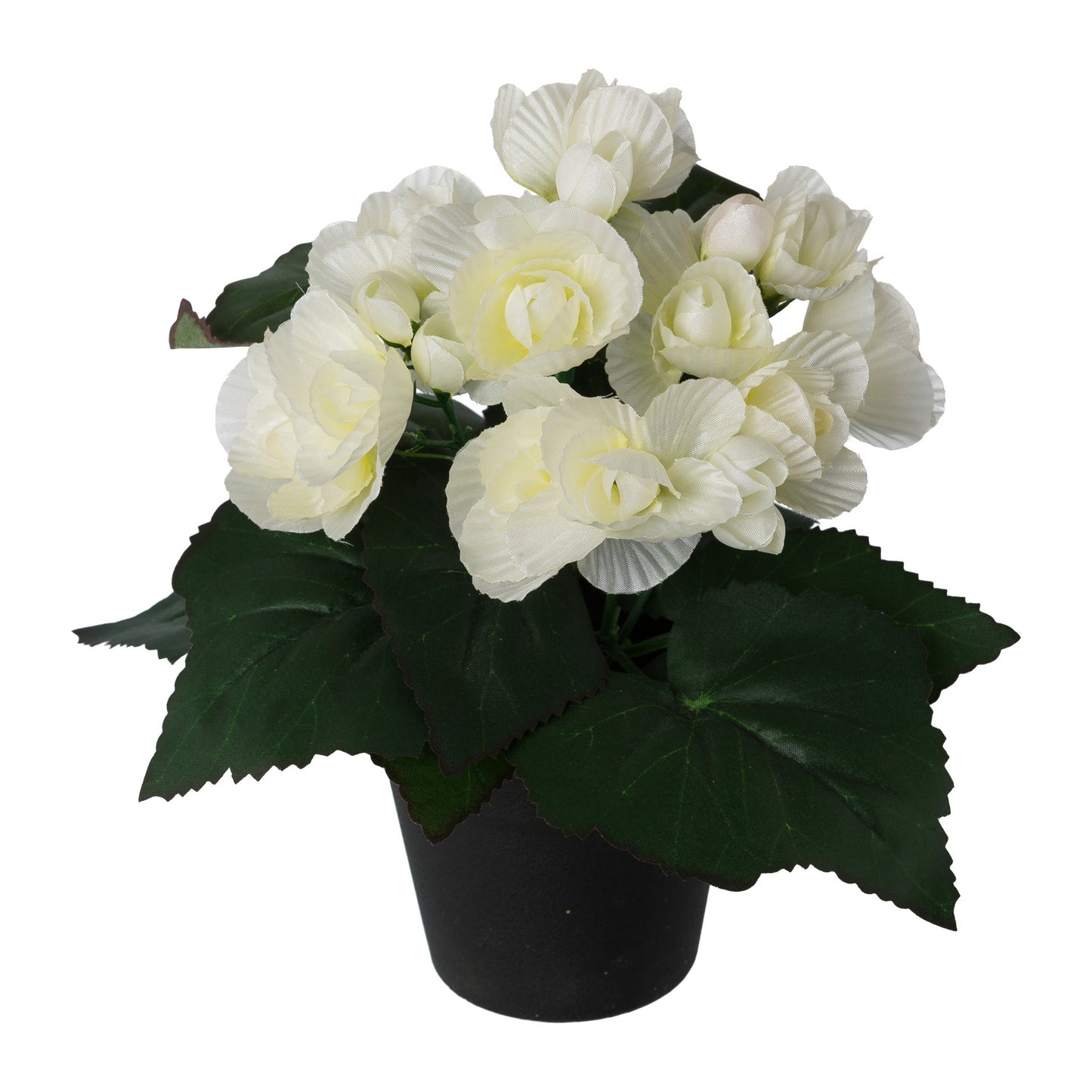 3er Set künstliche Begonie weiß im Topf 24 cm – Hochwertige, pflegeleichte Deko